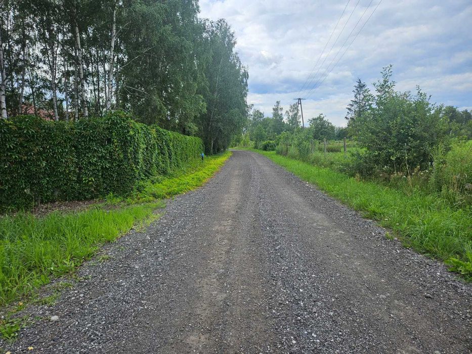 Zdjęcie 6