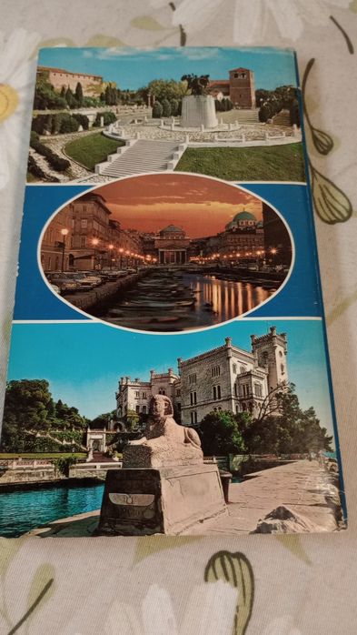 Trieste. Nuova Guida Pratica di 95 illustrazioni..