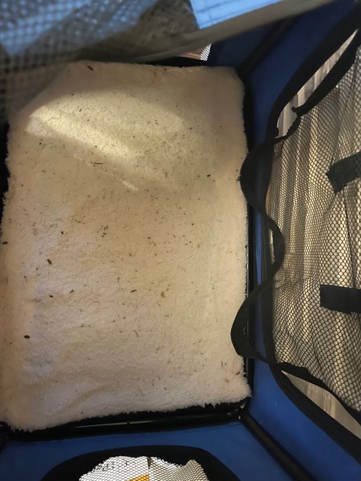 Transporter Lionto 42 cm x 60 cm x 44 cm Niebieski