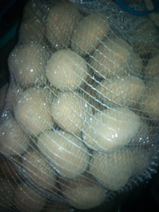 Sprzedam ziemniaki Irys catania  Vineta  Rikardo,Sifra