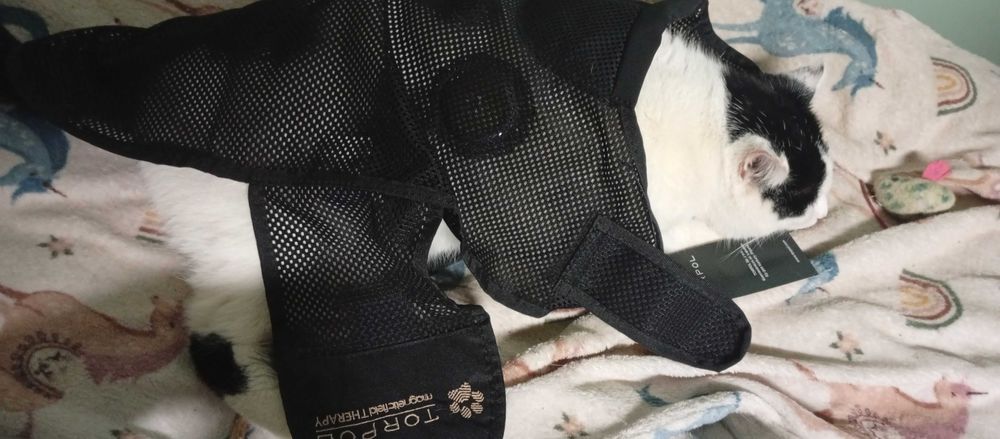 Derka magnetyczna dla psa/kota NOWA