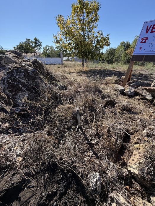 Terreno em solo urbano de 1250m2 com viabilidade construtica em Sever, Moimenta da Beira