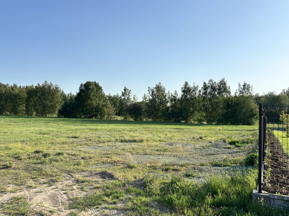 Działka budowlana k. Skierniewic Budy Trzcińskie - Widok 6