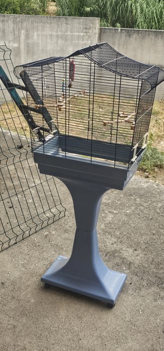 Gaiola de pássaros