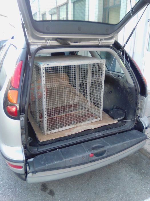 vendo Gaiola grande para pássaros