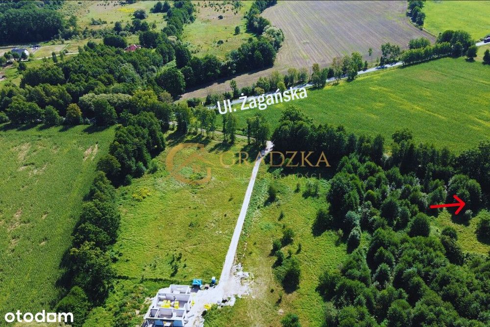 Działka 1170 m² | Ochla | MPZP | pod dom