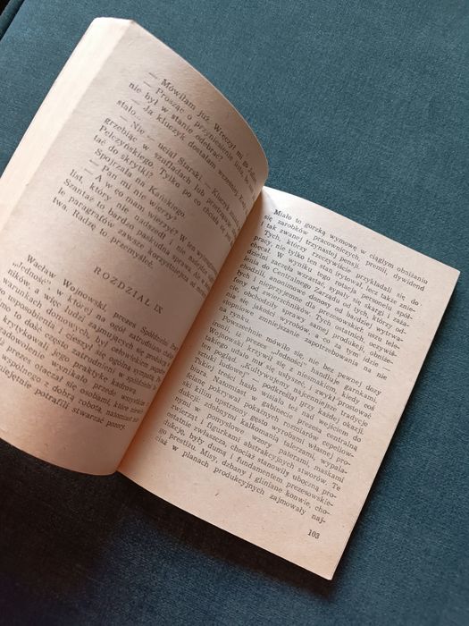 Książka Zabójstwo w nocnej dzielnicy - Adrianna Gozdecka