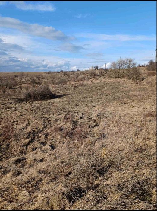 Здам в оренду 6 гектарів землі с.Вовковинці Деражнянського району