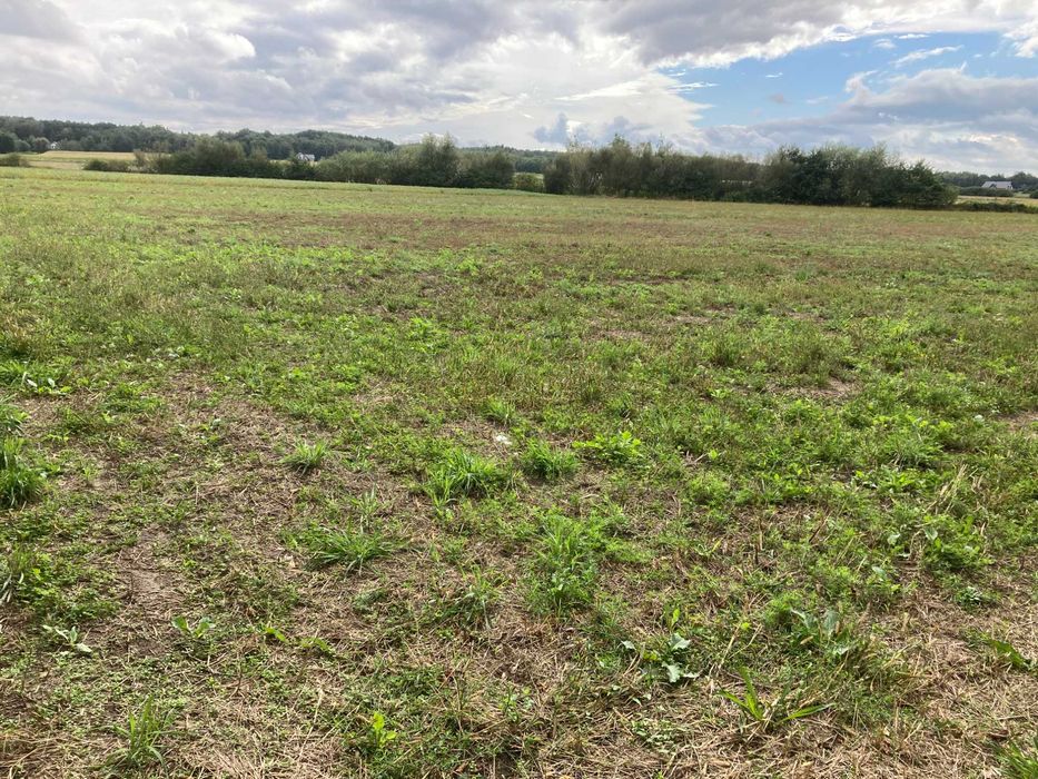 Sprzedam działki budowlane Oleśnica-Wielopole - Widok 2
