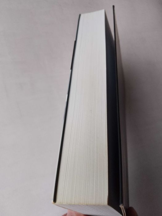 M. Sakey "Na krańcach miasta" 2010