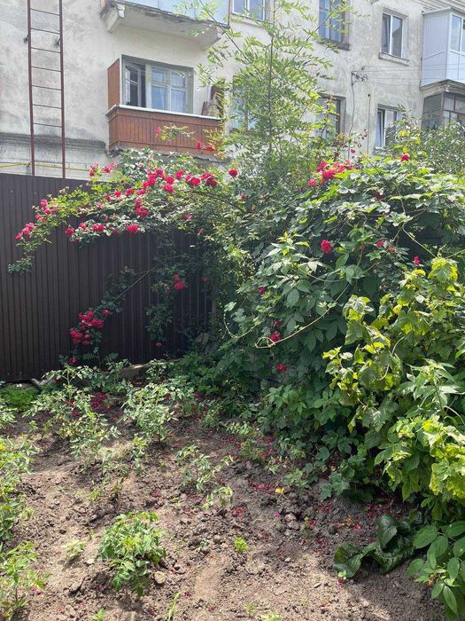 земельна ділянка в центрі міста