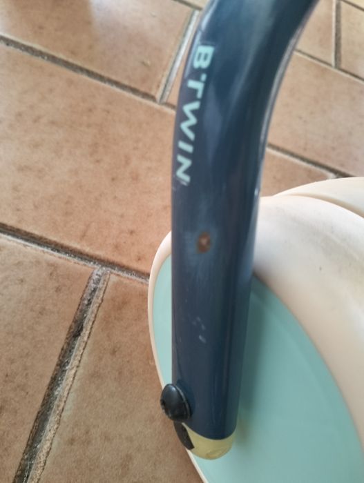 Triciclo de aprendizagem evolutivo