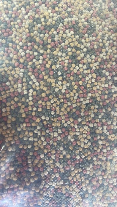 Корм для ставкових риб 15 кг 6 мм