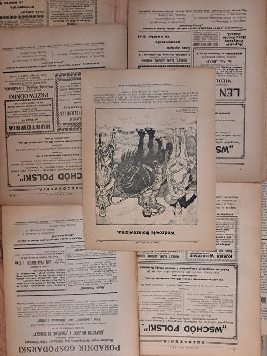 Chata Polska 1920 r.  Nr 9, 16, 18, 24‑26, 28‑31, + dod ilustr. Nr.15