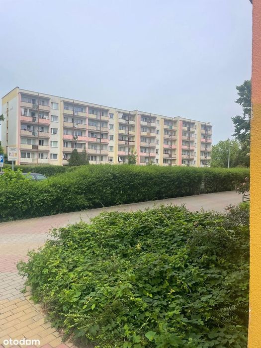 Przestronne, słoneczne mieszkanie 63 m² – Rubinkowo