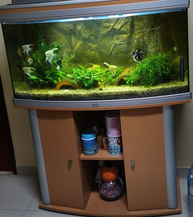 Aquário 180litros