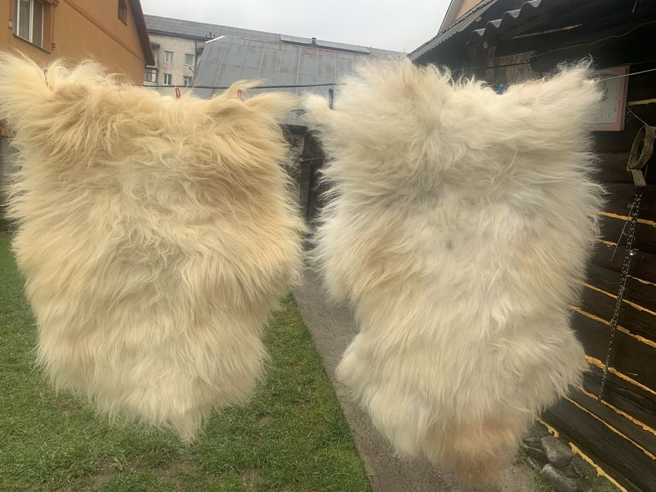 Маленькі шкірки під ноги чи в авто