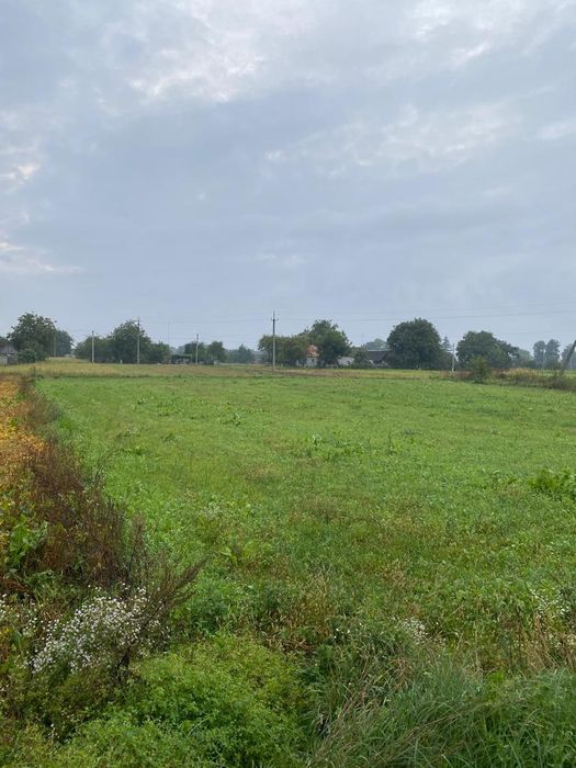 Продам земельну ділянку в с.Усичі