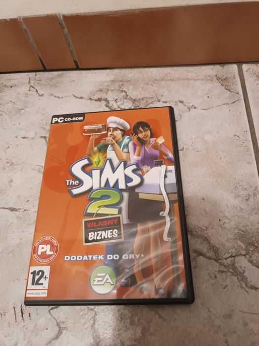 Theo Sims 2 własny biznes