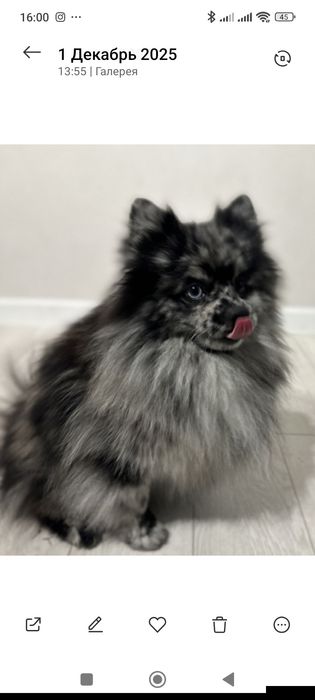 3000 грн.Акция до Різдва та Нового Року!!