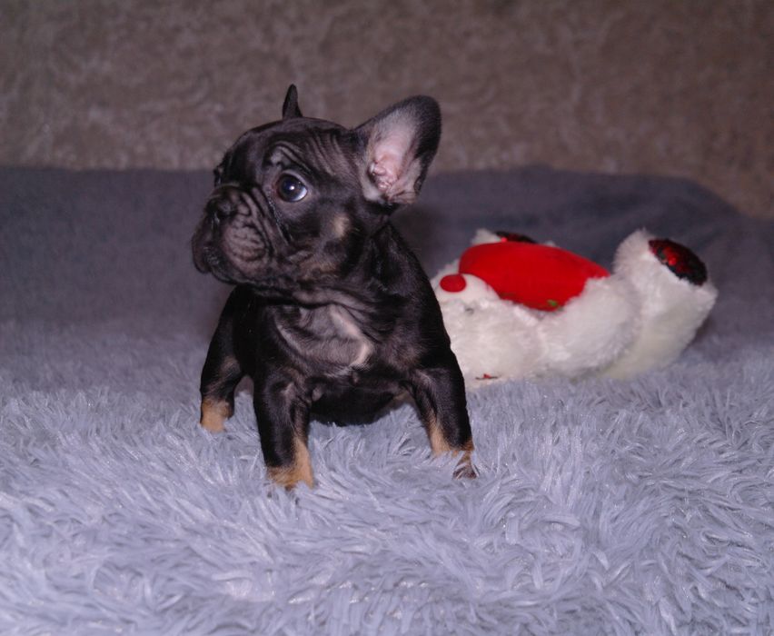 Балибейчик ждёт Вас