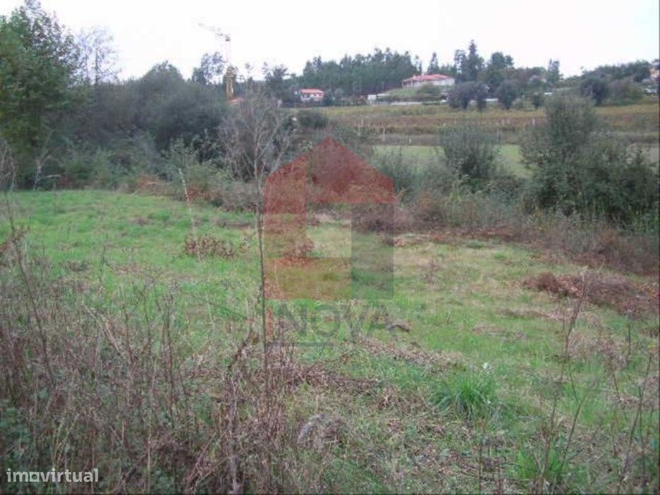 Terreno, Coucieiro — Pico De Regalados, Gondiães E Mós, Braga