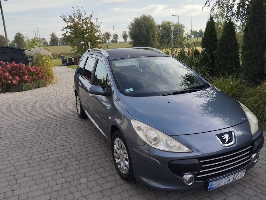 Peugeot 307 SW