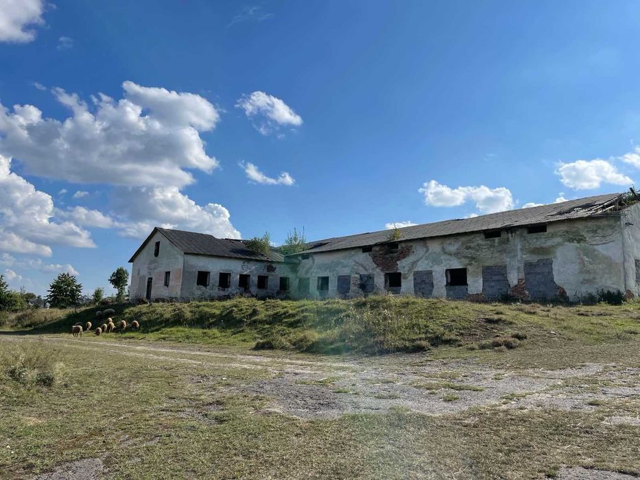 господарський двір (ферма) 3 гектара, 1700 м2 площа 2 будівель, продаж