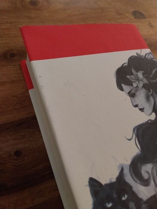 Mistrz i Małgorzata