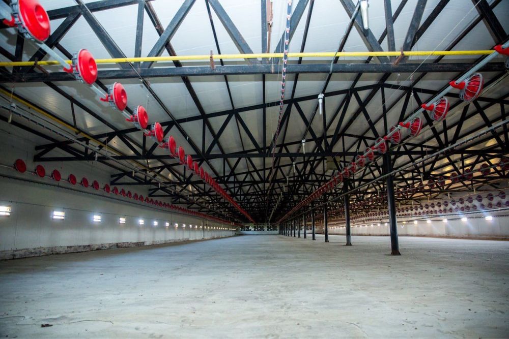 Комерційна нерухомість за адресою вул. Капеланська (площа 40000 м²) - Atlanta.ua - фото 16