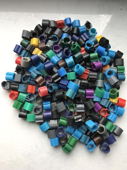 Tipes - tipesy - Vizion v10 - obrączki dla gołębi