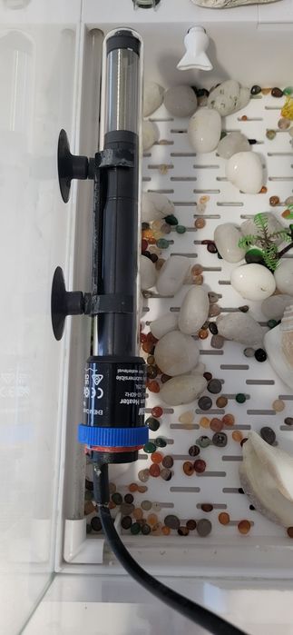 Aquário para tartarugas