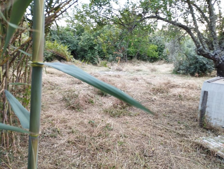 Prestação de serviços de jardinagem