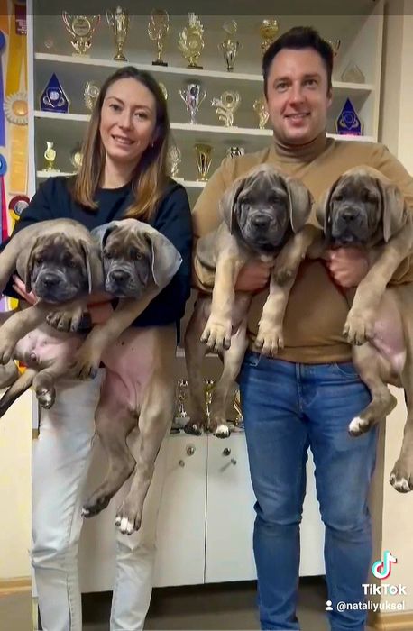 Чемпион Молдовы и Румынии