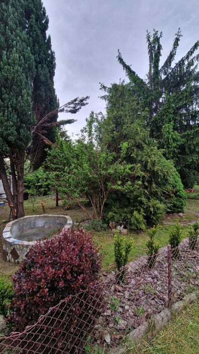 Ogródek działkowy ROD 401 m2
