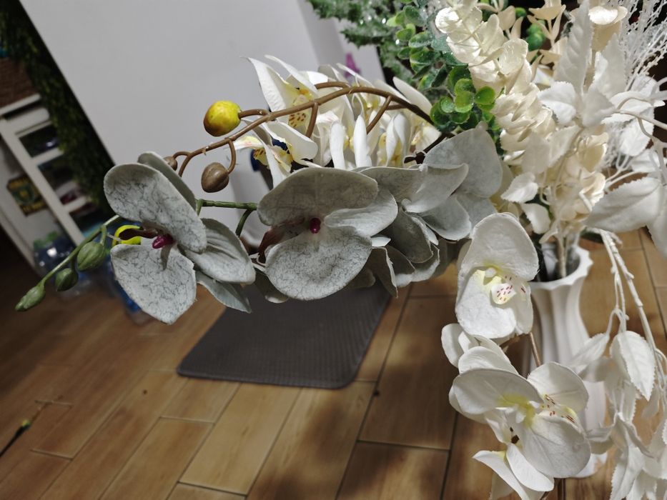 Storczyki białe i szary