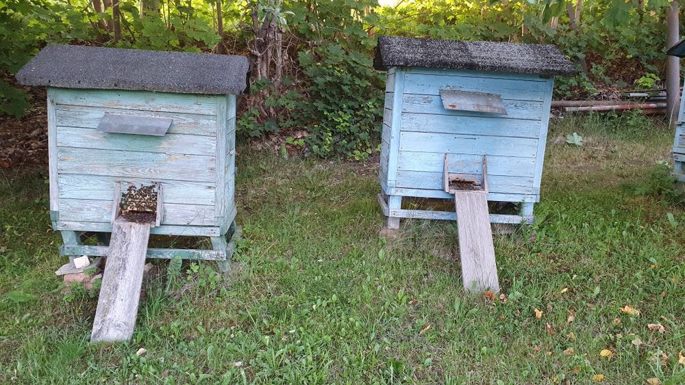 Sprzedam ule ul z pszczołami pszczoły pasieka