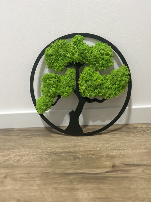 Obraz  Bonsai z  mchem 30cm