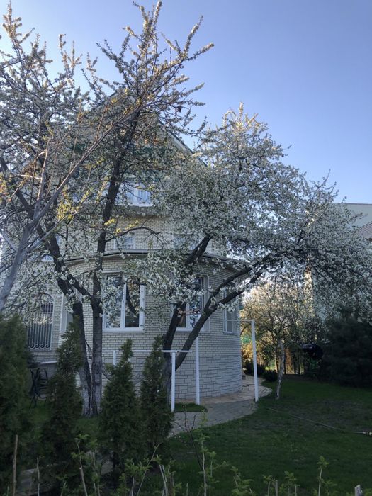 Центр Продаж 3-х поверхового будинку для родини в Кременчуці в Царському се