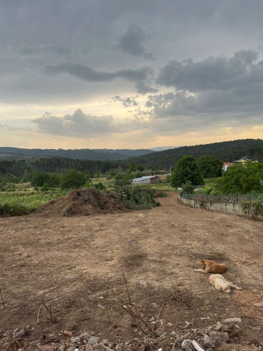 Vende-se Terreno em Andrães - Vila Real