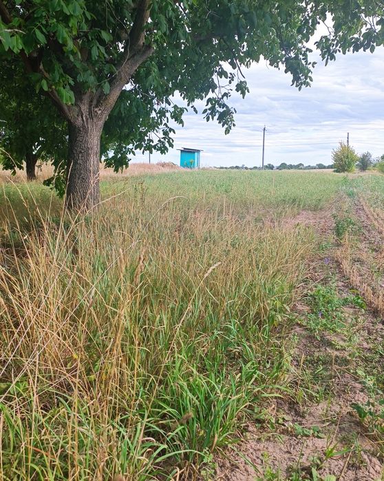 Продаж земельної ділянки в с. Промінь, Луцького району