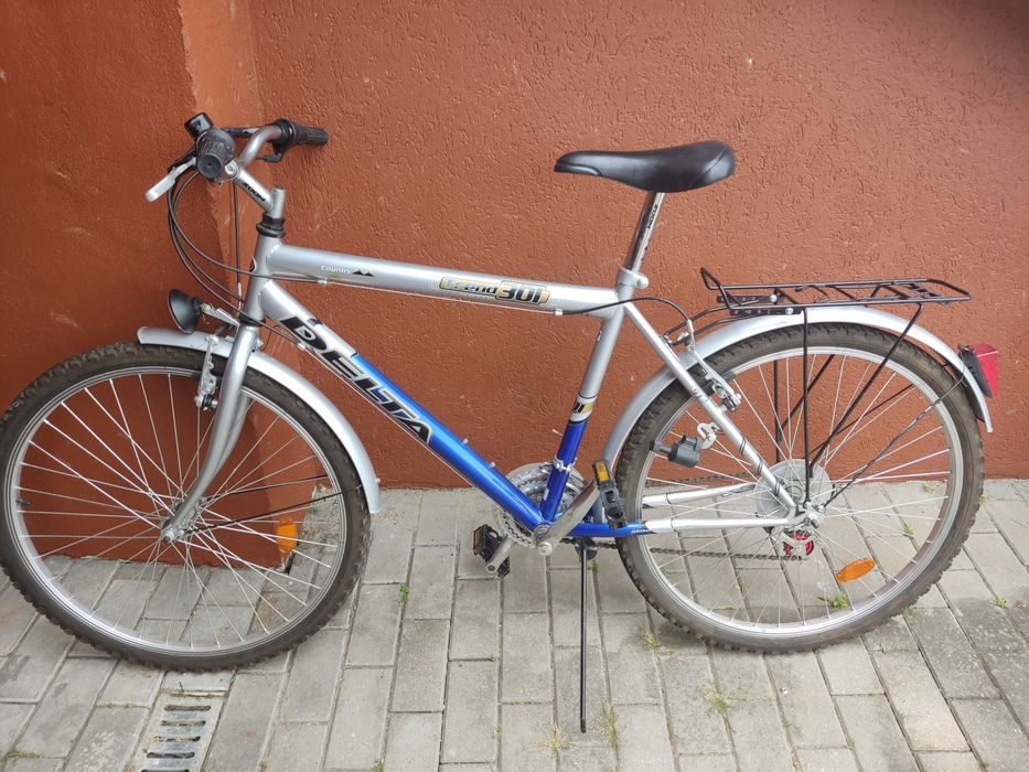 Rower męski Arkus Delta Trend 301 19