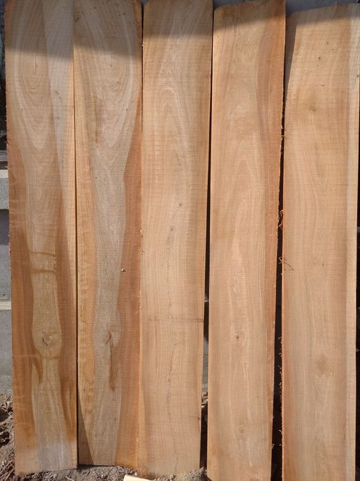 Дошка берест продам