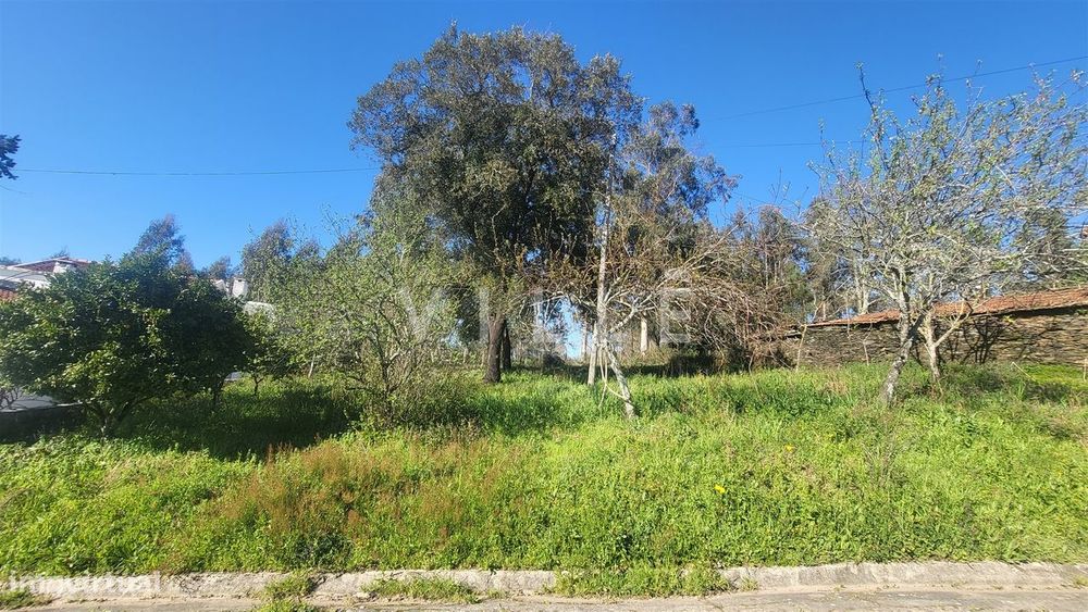 Terreno  Venda em Préstimo e Macieira de Alcoba,Águeda