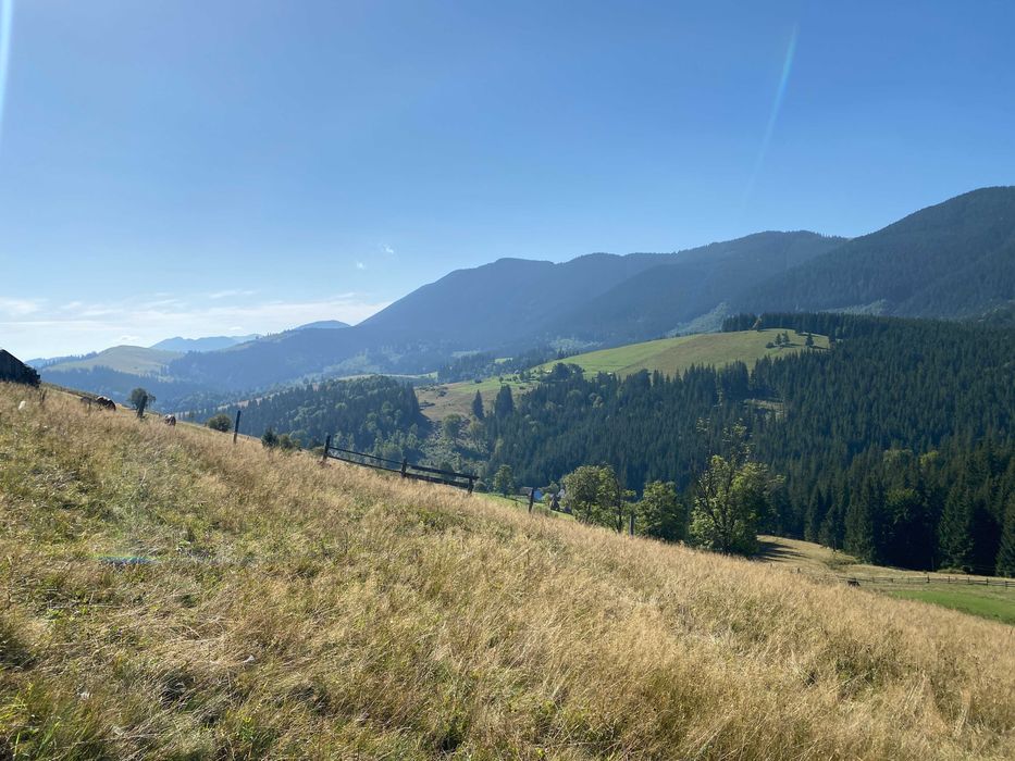 Земля під екопоселення 26 гектарівів