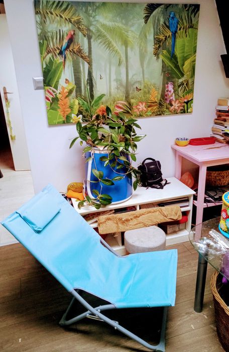 Lezak ogrodowy i na plaze