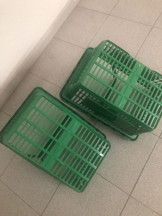 Two supermarket baskets424883060978503682