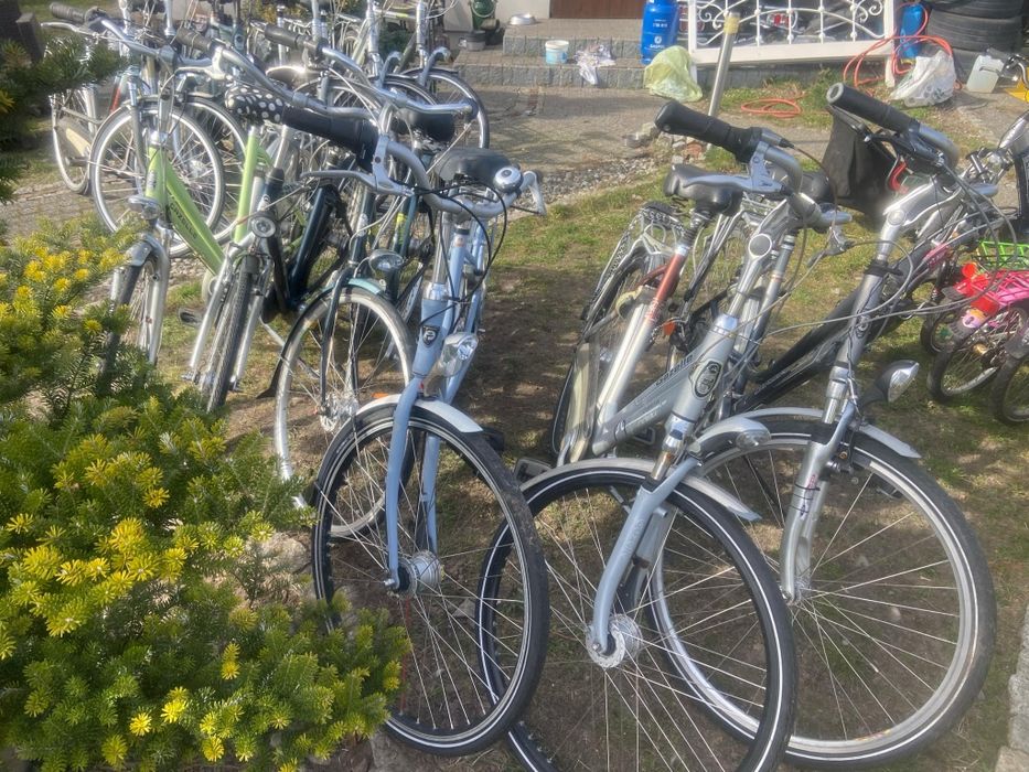 Gazelle,Batavus, rowery holenderskie