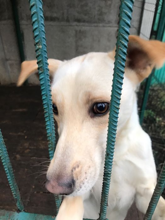 Прошу помощи………………….