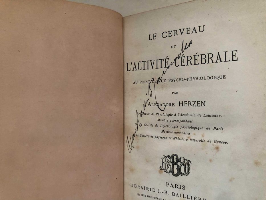Le Cerveau et l'Ativité Cerébrale - Alexandre Herzen
